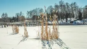 Wydminy i most garbaty w okowach mazurskiej zimy, luty 2026 r. - zdjęcie 36