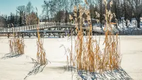 Wydminy i most garbaty w okowach mazurskiej zimy, luty 2026 r. - zdjęcie 3