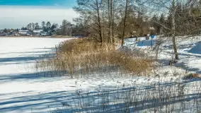 Wydminy i most garbaty w okowach mazurskiej zimy, luty 2026 r. - zdjęcie 26