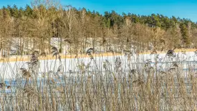 Wydminy i most garbaty w okowach mazurskiej zimy, luty 2026 r. - zdjęcie 28