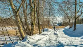 Wydminy i most garbaty w okowach mazurskiej zimy, luty 2026 r. - zdjęcie 44
