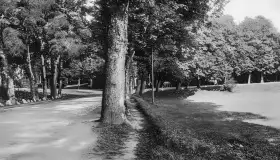 Okolice Mazur - Iława na starych zdjęciach i pocztówkach - zdjęcie 105