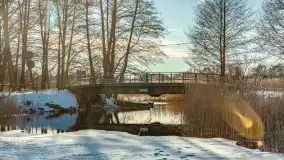 Orzysz i... orzyskie morsy nad jeziorem Orzysz w zimowej scenerii - zdjęcie 13