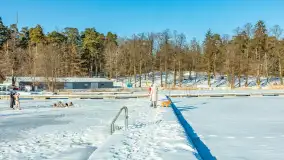 Orzysz i... orzyskie morsy nad jeziorem Orzysz w zimowej scenerii - zdjęcie 27