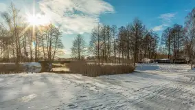 Orzysz i... orzyskie morsy nad jeziorem Orzysz w zimowej scenerii - zdjęcie 42