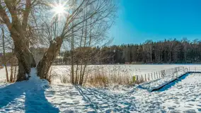 Zimowa wersja plaży w Starych Juchach, jezioro Jędzelewo - zdjęcie 2