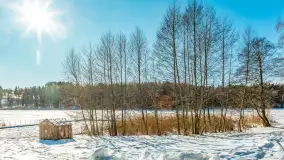 Zimowa wersja plaży w Starych Juchach, jezioro Jędzelewo - zdjęcie 11