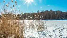 Zimowa wersja plaży w Starych Juchach, jezioro Jędzelewo - zdjęcie 34