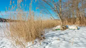 Zimowa wersja plaży w Starych Juchach, jezioro Jędzelewo - zdjęcie 23
