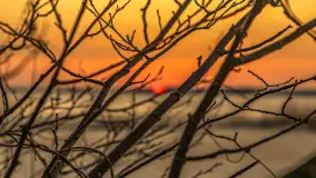 Zachód słońca nad jeziorem Mamry, port Rybaczówka Kal, marzec 2026 r. - zdjęcie 23