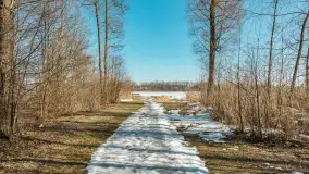 Przedwiośnie nad jeziorem Bielewo, marzec 2026 r. - zdjęcie 8