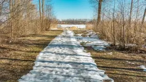 Przedwiośnie nad jeziorem Bielewo, marzec 2026 r. - zdjęcie 20