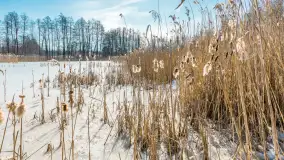 Przedwiośnie nad jeziorem Bielewo, marzec 2026 r. - zdjęcie 1