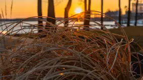 Marcowy zachód słońca w Zatoce Tracz, jezioro Kisajno - zdjęcie 38