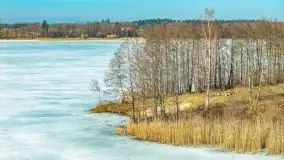 Przedwiośnie nad jeziorem Bielewo, marzec 2026 r. - zdjęcie 17