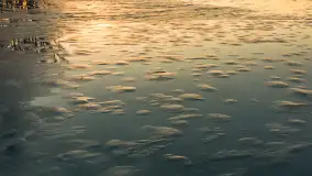 Zachód słońca nad jeziorem Kruklin, marzec 2026 r. - zdjęcie 21