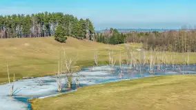 Jeleniowate na mazurskich polach i łąkach, marzec 2026 r. - zdjęcie 17