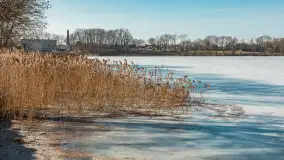 Przedwiośnie w Ełku, spacer w okolicach ulicy Zamkowej - zdjęcie 20