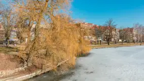 Przedwiośnie w Ełku, spacer w okolicach ulicy Zamkowej - zdjęcie 34