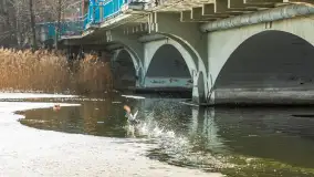 Przedwiośnie w Ełku, spacer w okolicach ulicy Zamkowej - zdjęcie 25