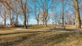 Przedwiośnie w Ełku, spacer w okolicach ulicy Zamkowej - zdjęcie 31