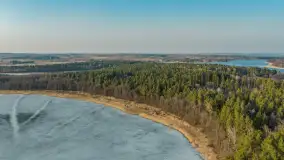 Przedwiośnie nad kanałem Kula, marzec 2026 r. - zdjęcie 21