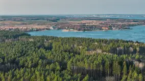 Przedwiośnie nad kanałem Kula, marzec 2026 r. - zdjęcie 15