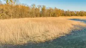 Przedwiośnie nad jeziorami Dejguny i Dejgunek, marzec 2026 r. - zdjęcie 33