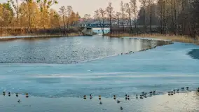 Jeziora Niegocin, Niałk Duży i Mały oraz Wojnowo u progu wiosny, z lotu ptaka - zdjęcie 32