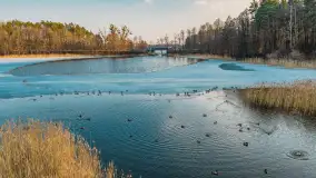 Jeziora Niegocin, Niałk Duży i Mały oraz Wojnowo u progu wiosny, z lotu ptaka - zdjęcie 28
