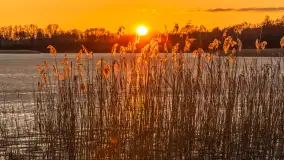 Zachód słońca nad jeziorem Stręgiel, marzec 2026 r. - zdjęcie 3