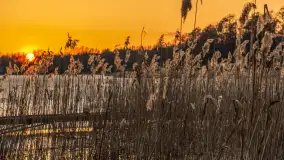 Zachód słońca nad jeziorem Stręgiel, marzec 2026 r. - zdjęcie 13