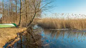 Przedwiosenne popołudnie nad jeziorem Dejguny, marzec 2026 r. - zdjęcie 6