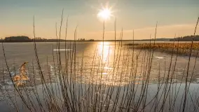 Przedwiosenne popołudnie nad jeziorem Dejguny, marzec 2026 r. - zdjęcie 5