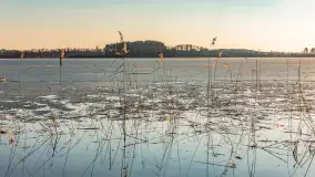 Przedwiosenne popołudnie nad jeziorem Dejguny, marzec 2026 r. - zdjęcie 23
