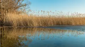 Przedwiosenne popołudnie nad jeziorem Dejguny, marzec 2026 r. - zdjęcie 2