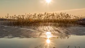 Przedwiosenne popołudnie nad jeziorem Dejguny, marzec 2026 r. - zdjęcie 18