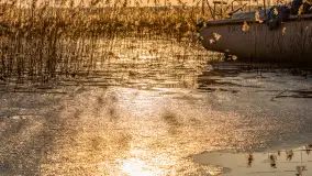 Przedwiosenne popołudnie nad jeziorem Dejguny, marzec 2026 r. - zdjęcie 22