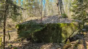 Polowa kwatera Himmlera - marcowy spacer po ruinach - zdjęcie 32