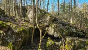 Polowa kwatera Himmlera - marcowy spacer po ruinach - zdjęcie 9