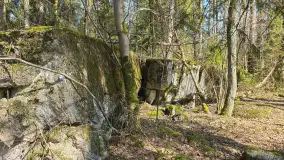 Polowa kwatera Himmlera - marcowy spacer po ruinach - zdjęcie 27