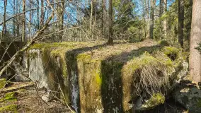 Polowa kwatera Himmlera - marcowy spacer po ruinach - zdjęcie 22