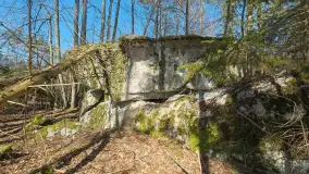 Polowa kwatera Himmlera - marcowy spacer po ruinach - zdjęcie 2