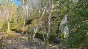 Polowa kwatera Himmlera - marcowy spacer po ruinach - zdjęcie 8