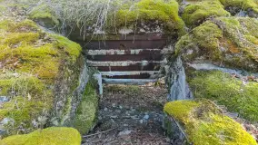 Polowa kwatera Himmlera - marcowy spacer po ruinach - zdjęcie 4