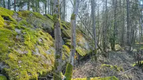 Polowa kwatera Himmlera - marcowy spacer po ruinach - zdjęcie 20