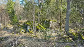 Polowa kwatera Himmlera - marcowy spacer po ruinach - zdjęcie 10