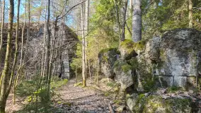 Polowa kwatera Himmlera - marcowy spacer po ruinach - zdjęcie 12