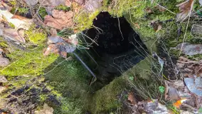 Polowa kwatera Himmlera - marcowy spacer po ruinach - zdjęcie 15