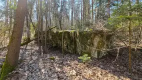 Polowa kwatera Himmlera - marcowy spacer po ruinach - zdjęcie 34